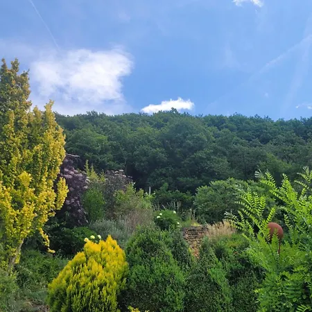 Gaeste-nestchen Am Waeldchen Fuer 1-2 Personen Kasel