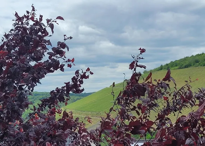 Gaeste-nestchen Am Waeldchen Fuer 1-2 Personen * Kasel